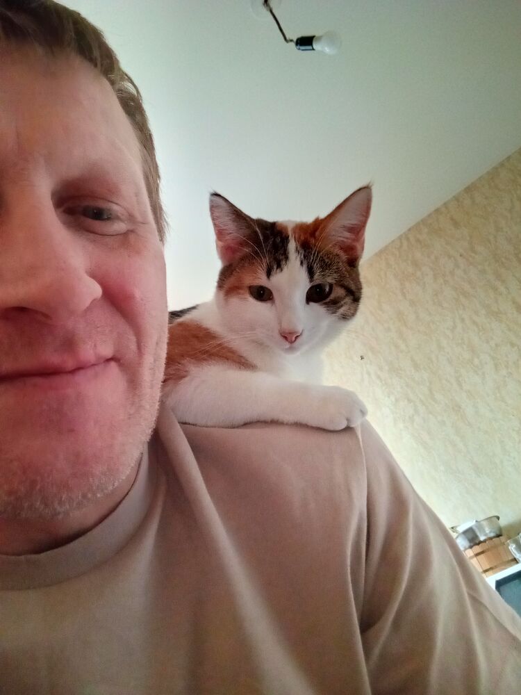  54694522  , 35 ,    -