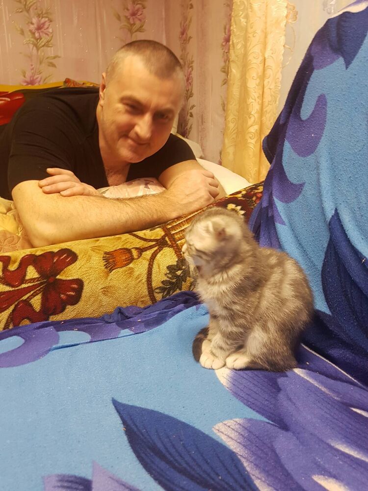 ���������� ������, ���� ������� ����, 50 ���, ������������ ��� ������, ����� � ���������, c�������� ���������