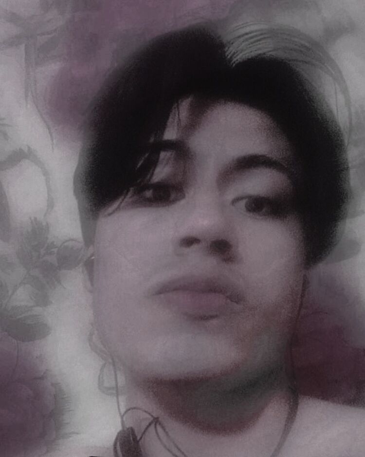 ���� 48197732 ����� ���������, 23 ����, ���� ���������� � ������