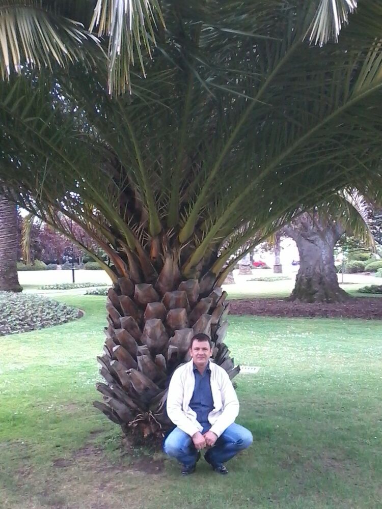 ���������� �����������, ���� ������� ������, 50 ���, ������������ ��� ������, ����� � ���������, c�������� ���������