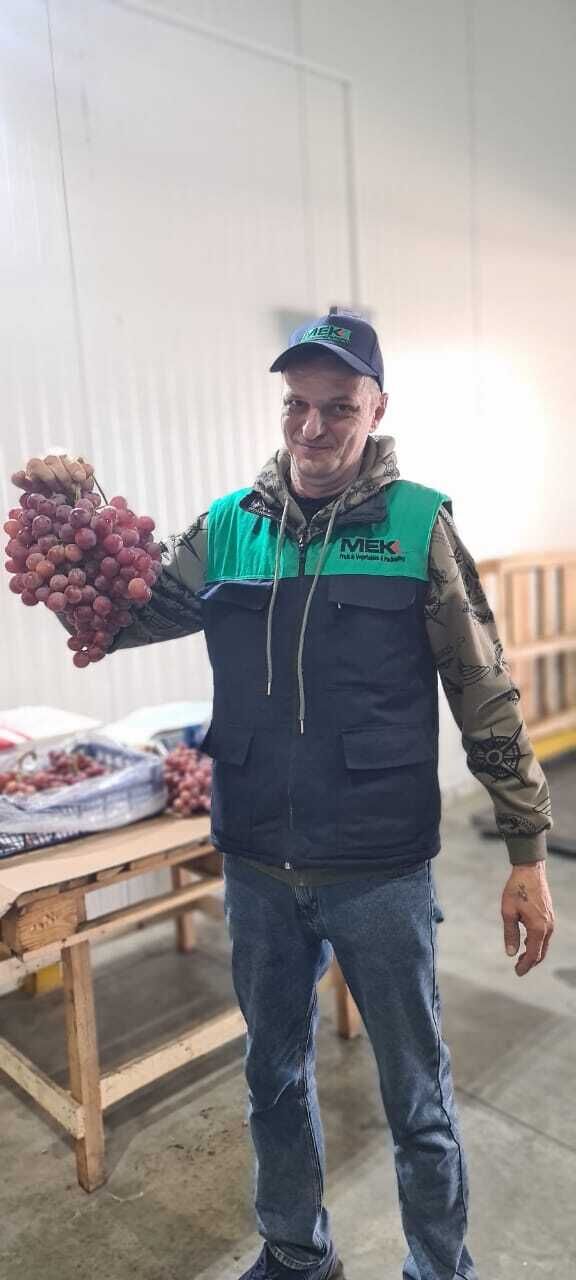 ���� 42694612 ������� ���������, 50 ���, ���� ���������� � ����������