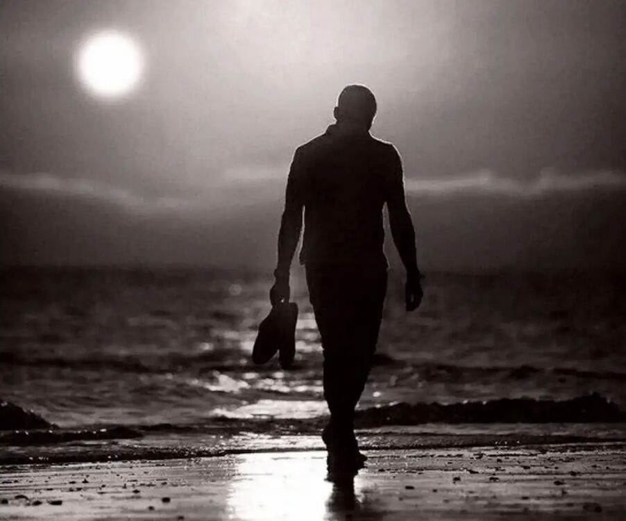 ���� 22869972 ������� ������, 33 ����, ���� ���������� � �������������