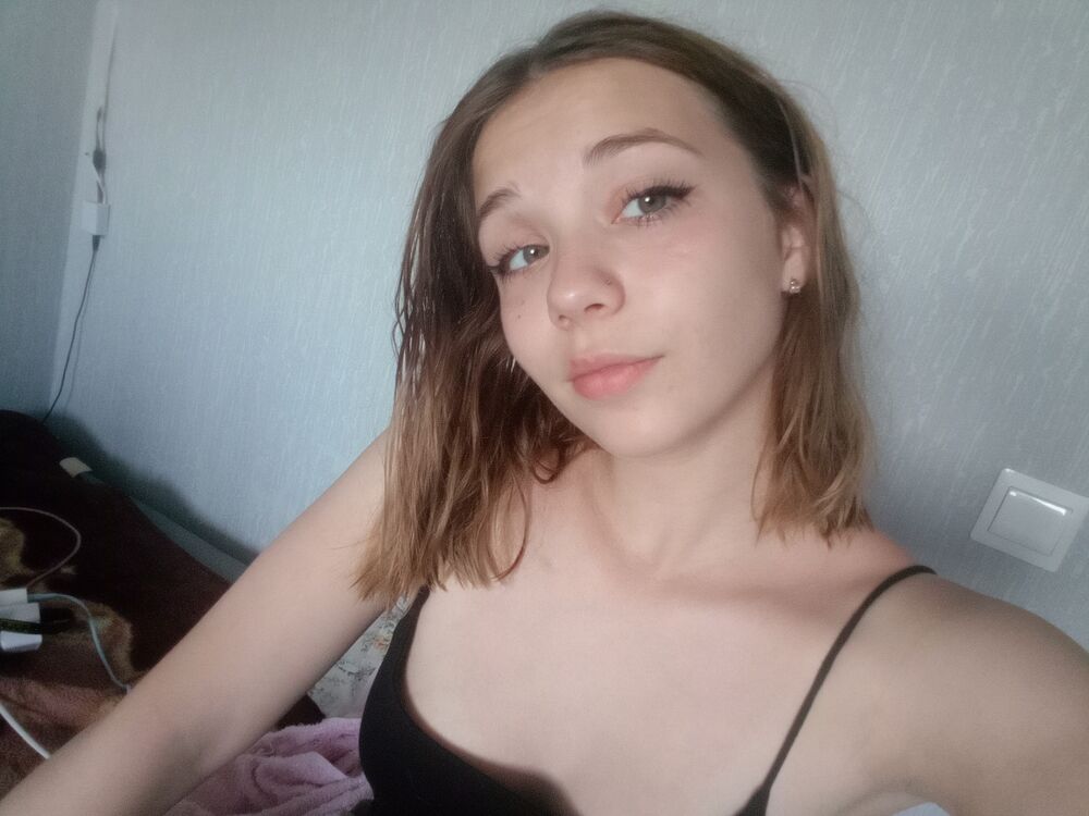  28004312  , 20 ,    