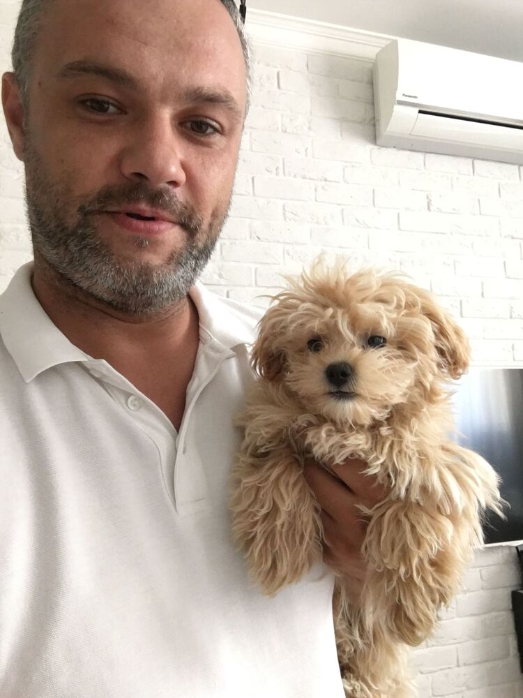  27491422  , 39 ,    --