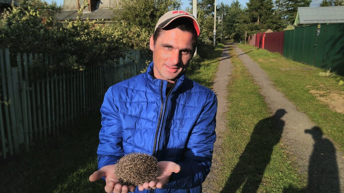 ���������� ������, ���� ������� ������, 37 ���, ������������ ��� ����� � ���������, c�������� ���������