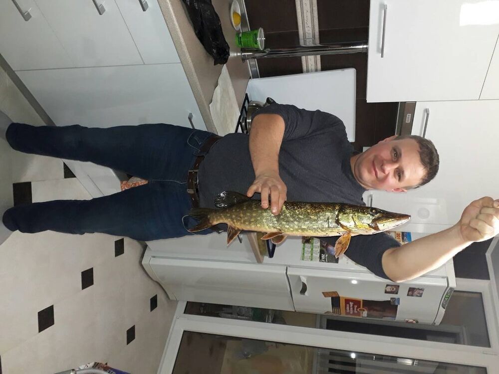 ���� 11016422 ������� ������, 44 ����, ���� ���������� � ������