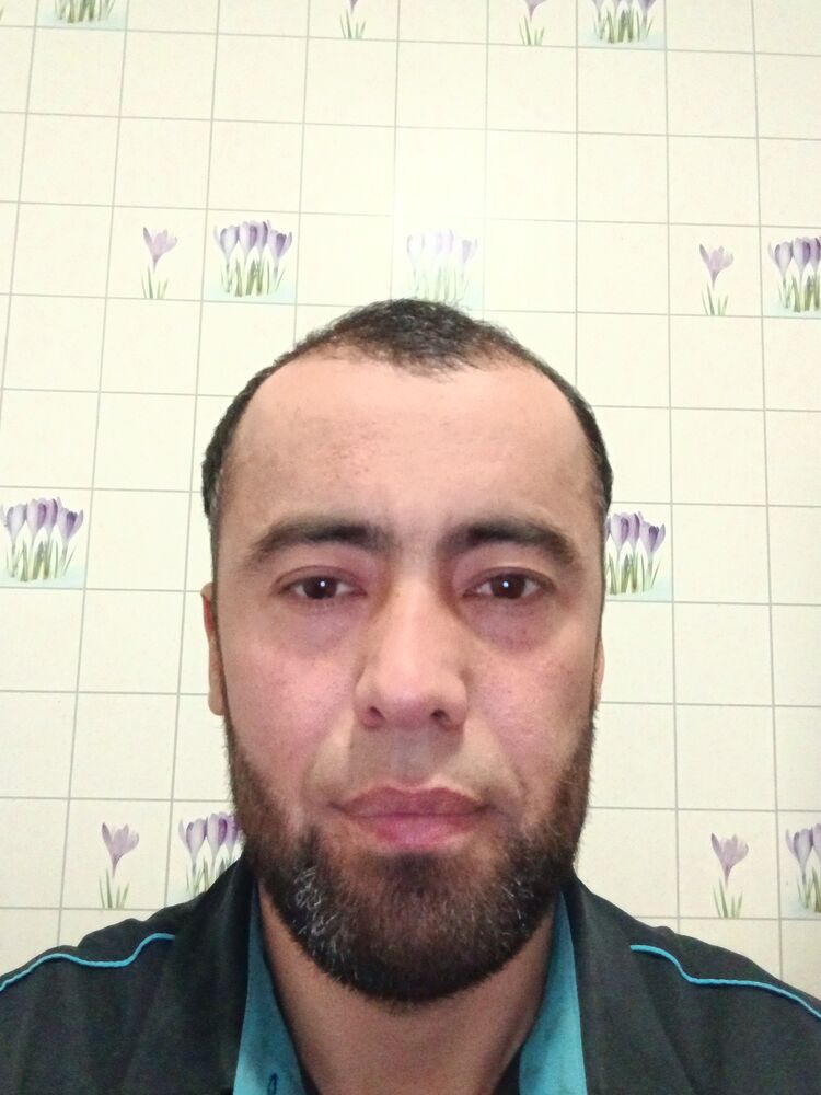  31321102  , 38 ,    