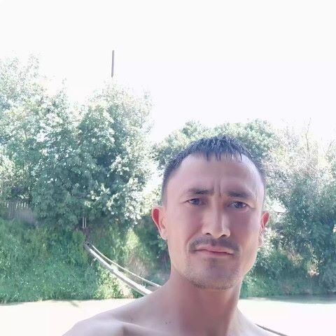 15582862  , 38 ,    