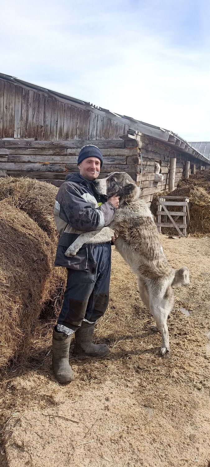 ���� 33927462 ������� Alex, 42 ����, ���� ���������� � ������������