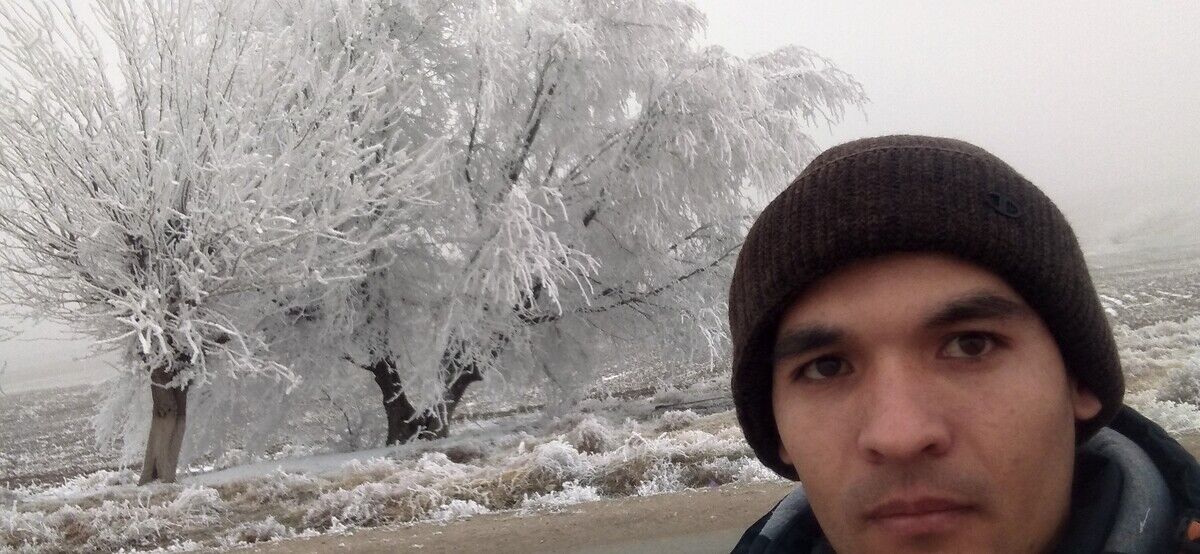 ���� 22031812 ������� Ganisher, 36 ���, ���� ���������� � ����������