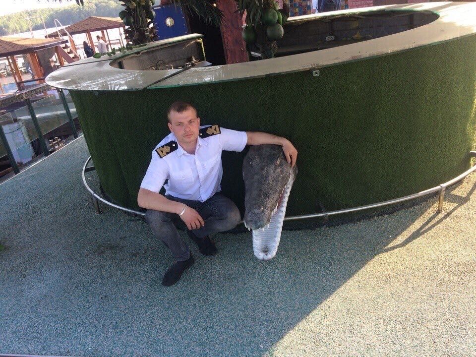 ���� 22962622 ������� ����������, 35 ���, ���� ���������� � ������