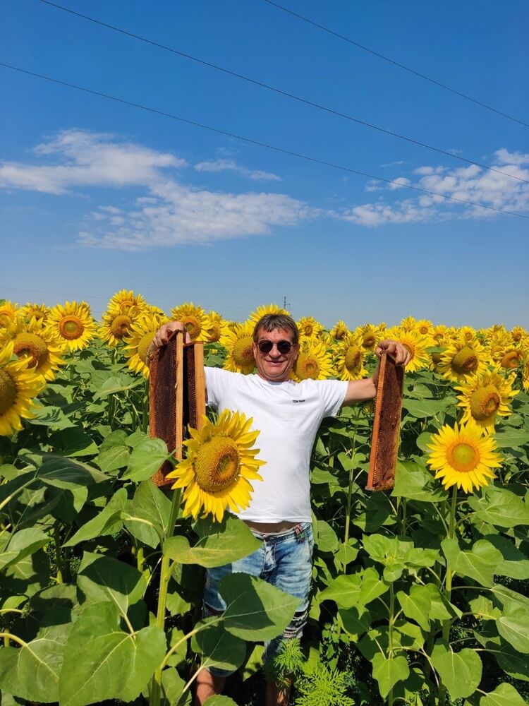 ���� 40043432 ������� ����, 55 ���, ���� ���������� � ������