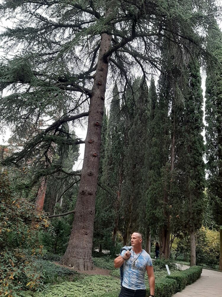 ���������� �����������, ���� ������� ����, 33 ����, ������������ ��� ������, ����� � ���������, c�������� ���������