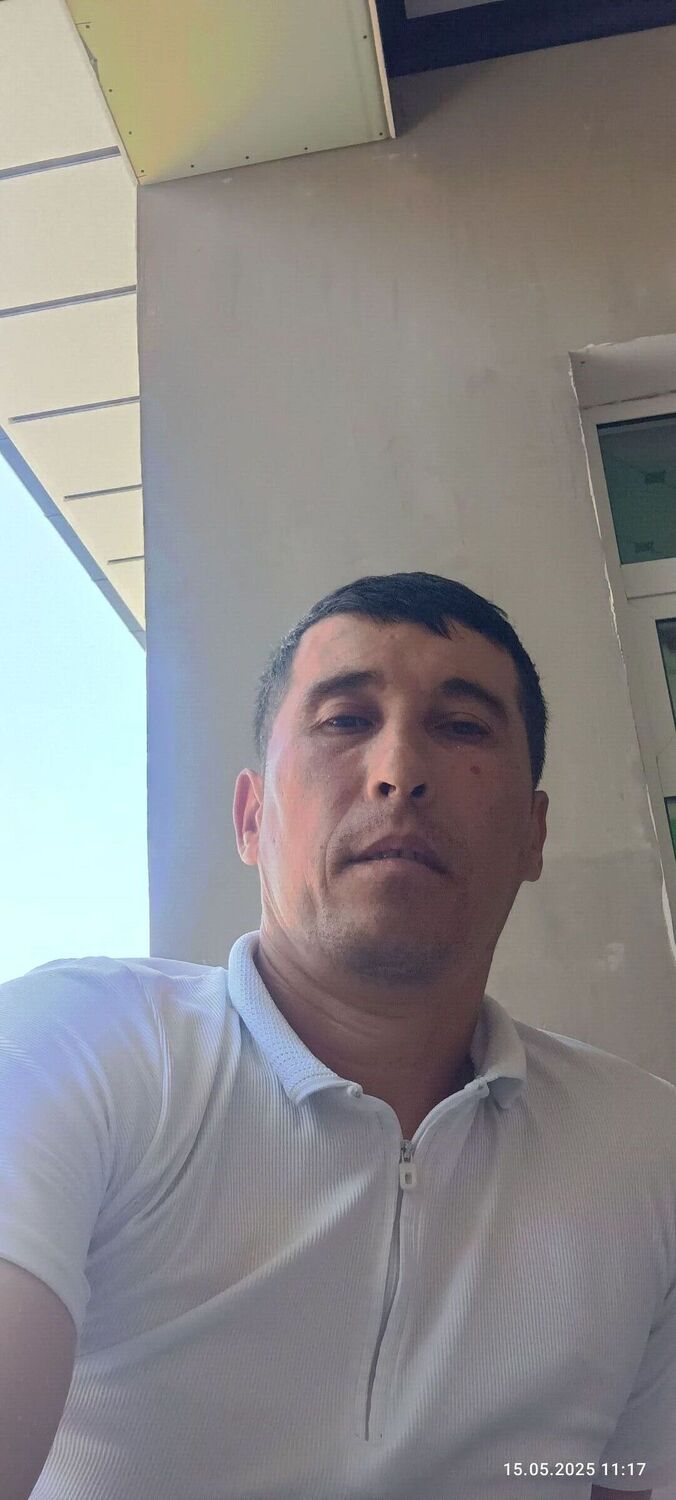  52673822  , 42 ,    