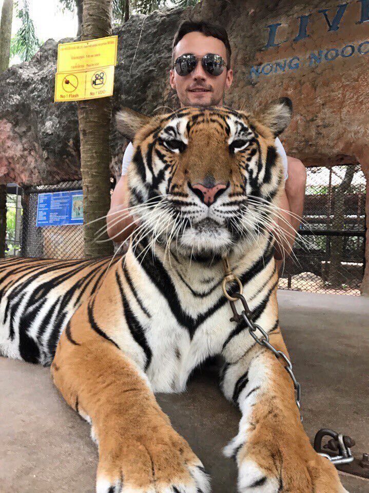 ���������� ������, ���� ������� �����, 39 ���, ������������ ��� ������, ����� � ���������, c�������� ���������, ���������