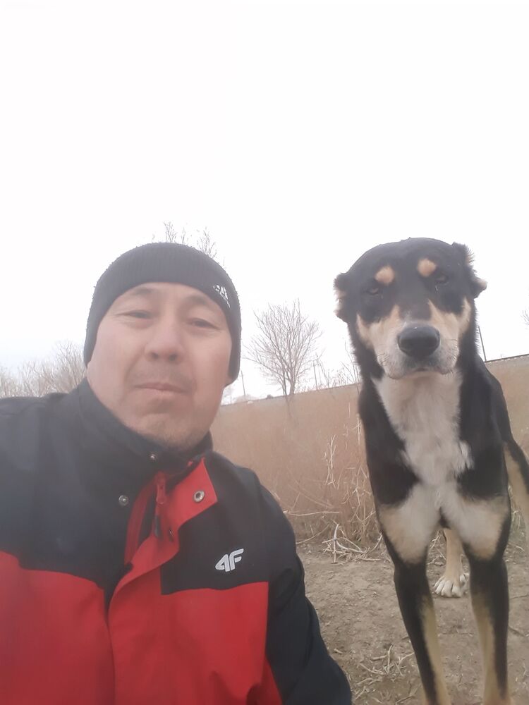 ���������� �����-���������, ���� ������� ����, 42 ����, ������������ ��� ������, ����� � ���������