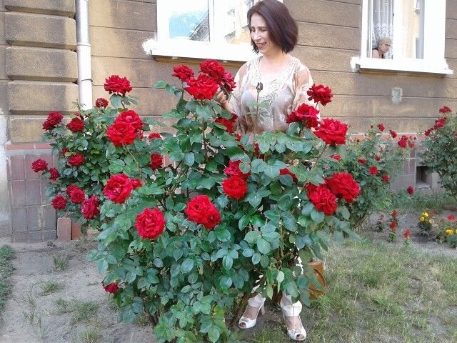  ,    , 58 ,   ,   , c 