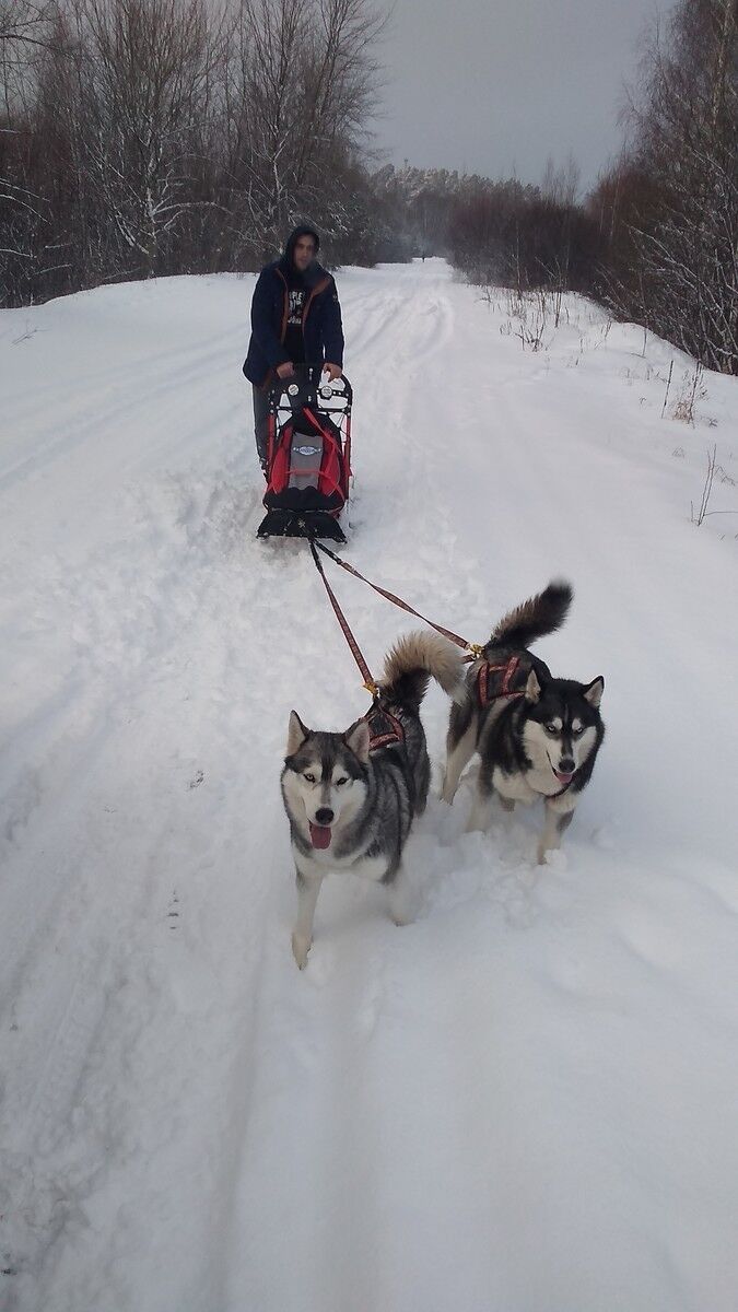 ���������� ������ ��������, ���� ������� �������, 42 ����, ������������ ��� ������, ����� � ���������, c�������� ���������