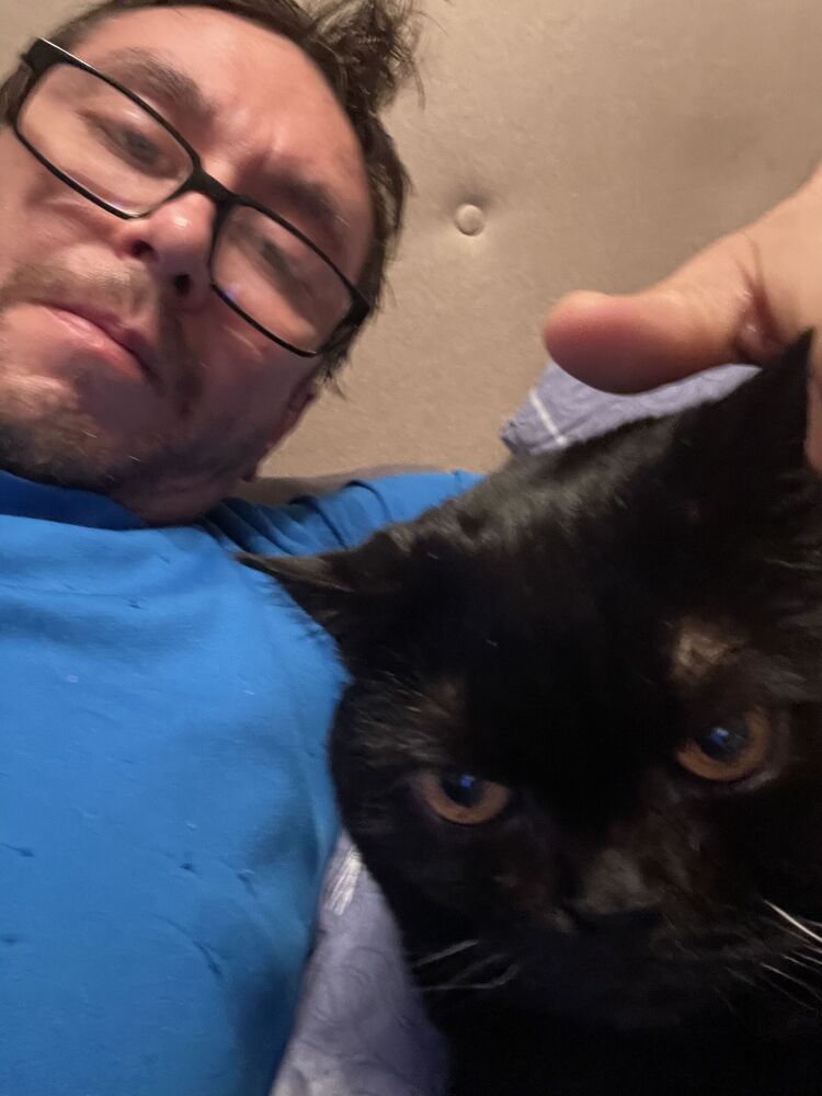 ���������� �������, ���� ������� �������, 40 ���, ������������ ��� ������, ����� � ���������, c�������� ���������