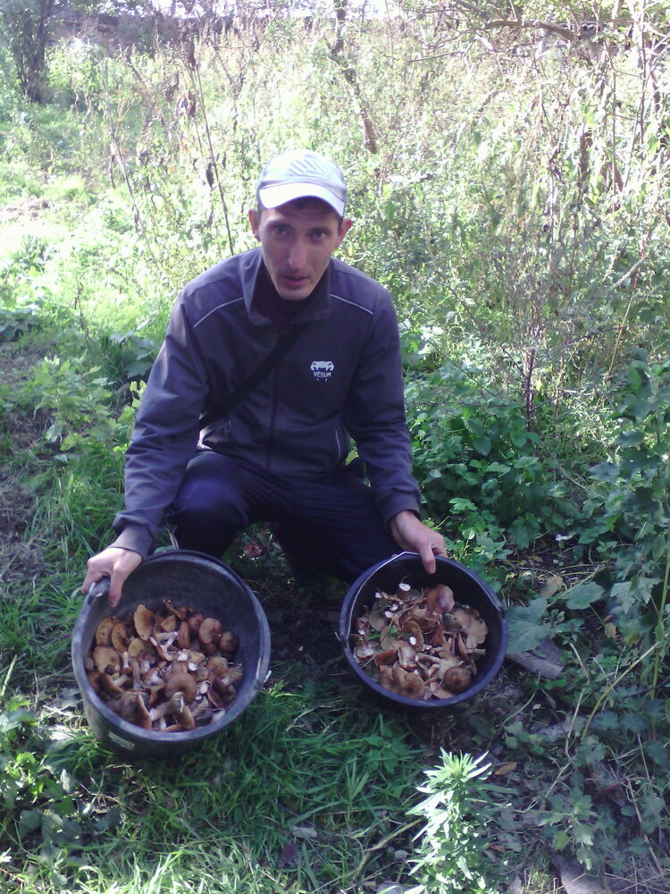 ���� 30965142 ������� ������, 35 ���, ���� ���������� � �������-��-����