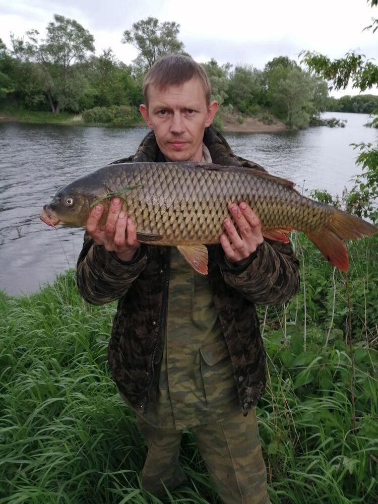 ���� 31869962 ������� ������, 40 ���, ���� ���������� � ��������