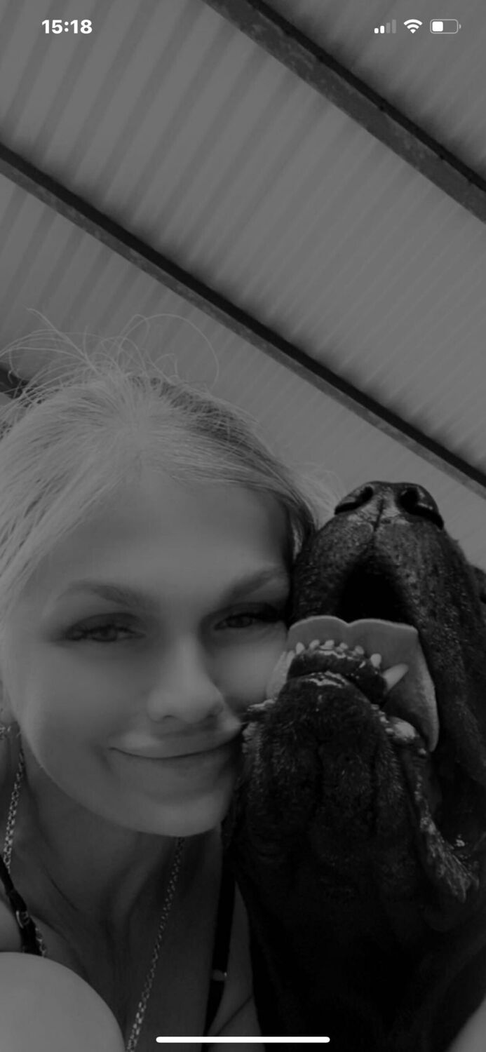  53155372  , 40 ,    --