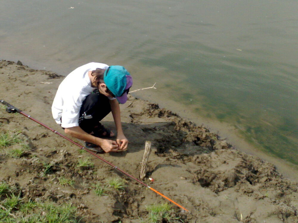 ���� 5231442 ������� ������, 54 ����, ���� ���������� � �������������