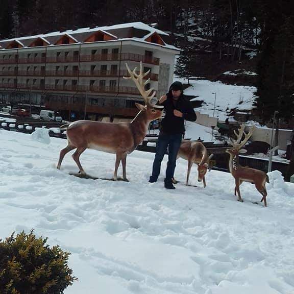 ���� 27796042 ������� ������, 38 ���, ���� ���������� � �������