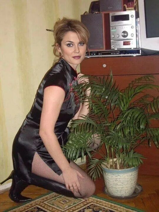  54186532  , 35 ,    -