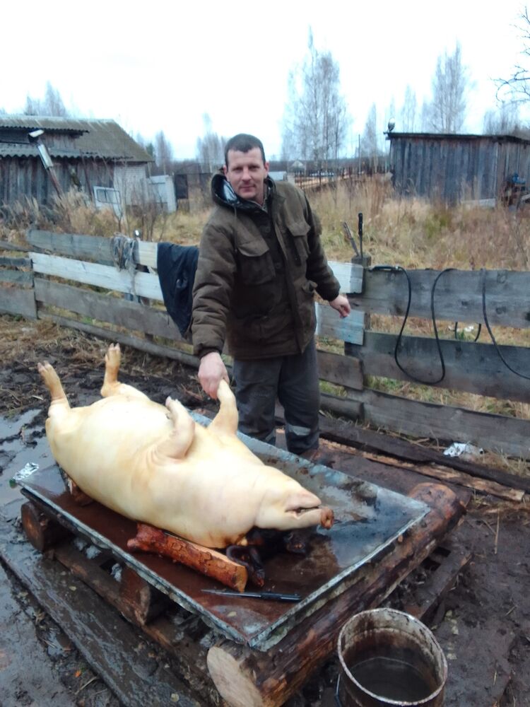 ���������� ������ ��������, ���� ������� �����, 40 ���, ������������ ��� ������, ����� � ���������, c�������� ���������