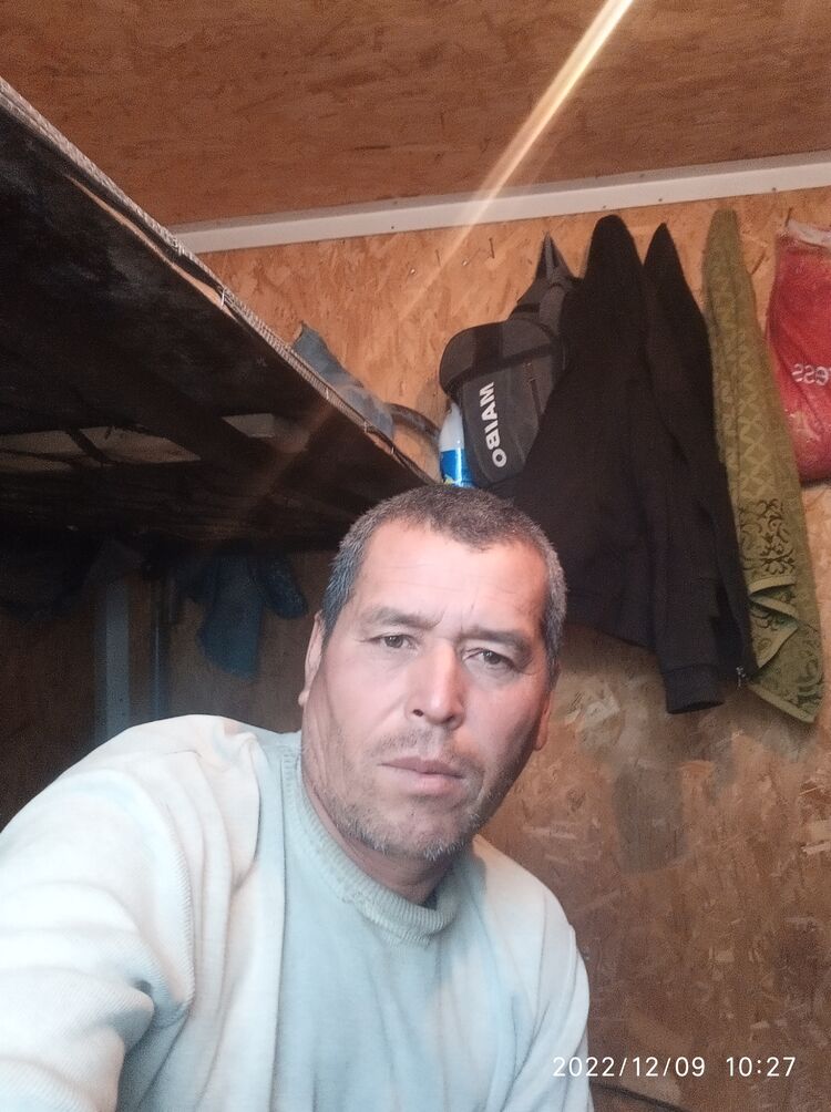  31159472  , 41 ,    