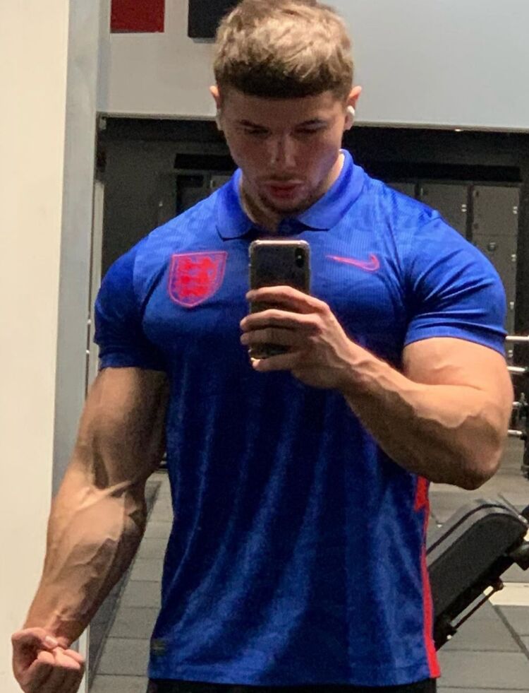 ���������� ���������, ���� ������� Wolf, 31 ���, ������������ ��� ������, c�������� ���������, ���������