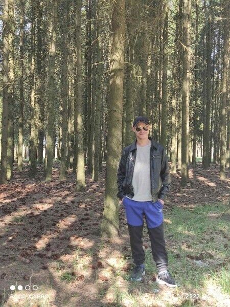 ���� 37836132 ������� ������, 35 ���, ���� ���������� � ��������