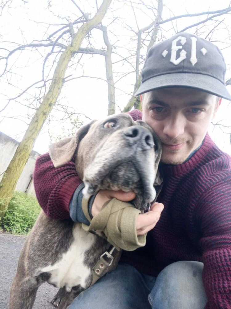  36594382  , 33 ,    --