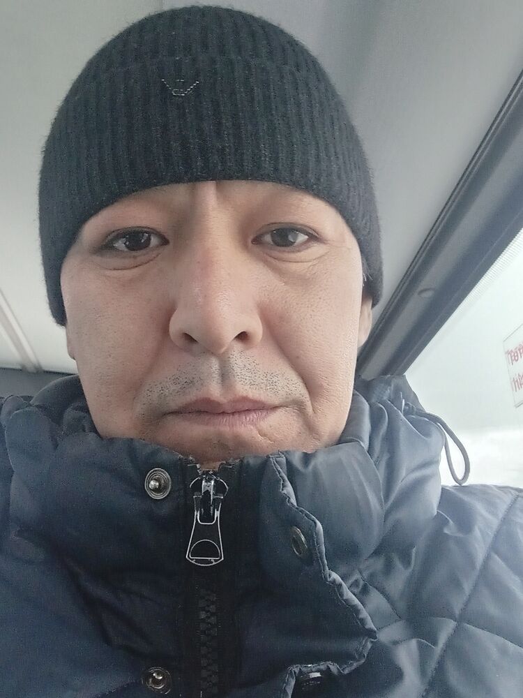  49634682  , 38 ,    