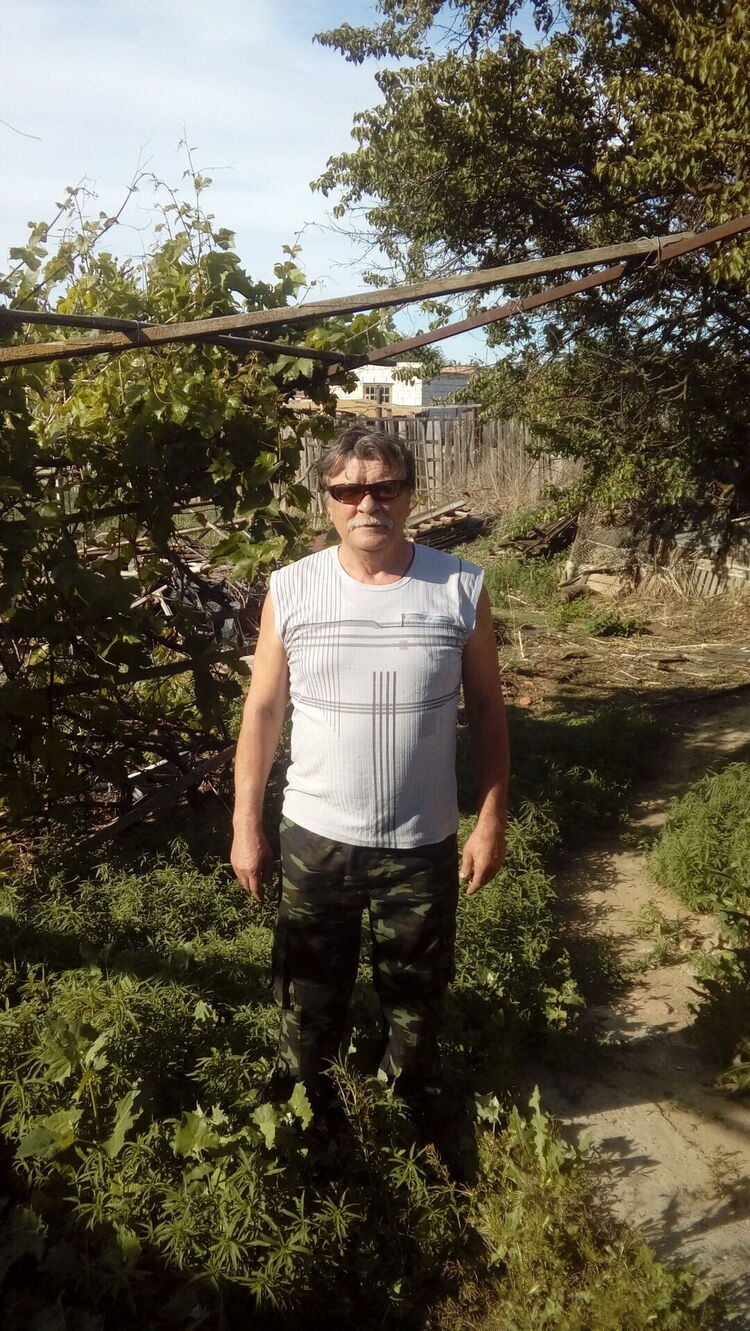  35370452  , 65 ,    