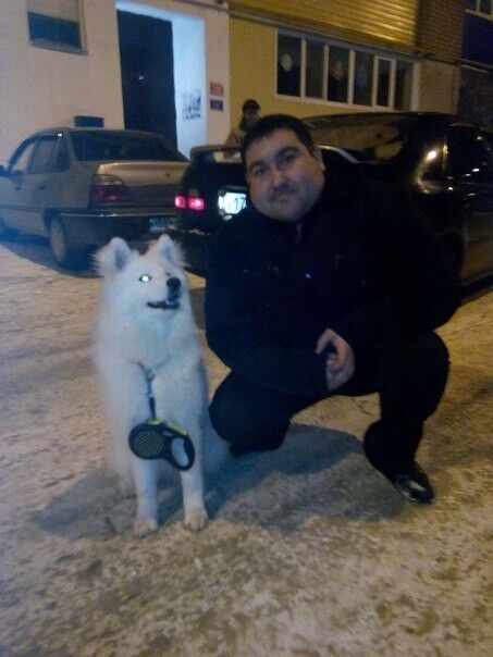 ���� 11827452 ������� ������, 42 ����, ���� ���������� � ������������