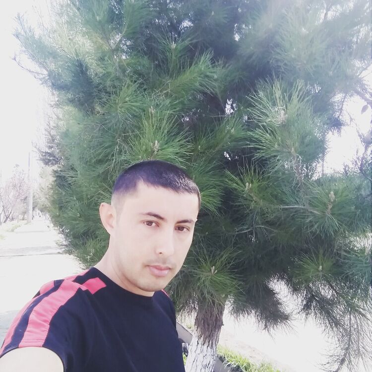 ���� 21233042 ������� Akrom, 35 ���, ���� ���������� � ��������