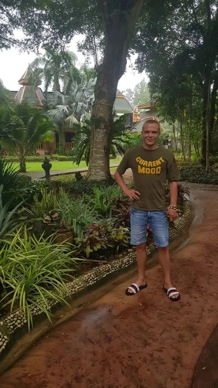  35388302  , 31 ,    
