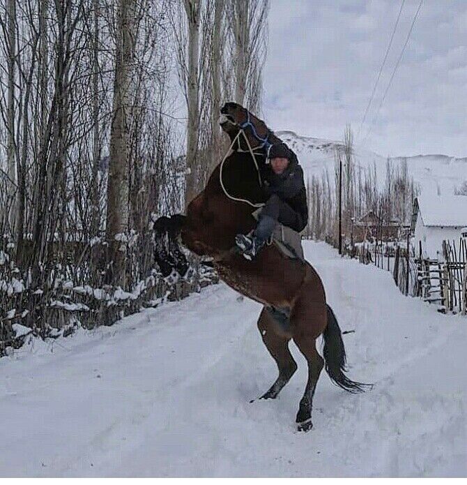 ���� 20870852 ������� ����, 27 ���, ���� ���������� � ������