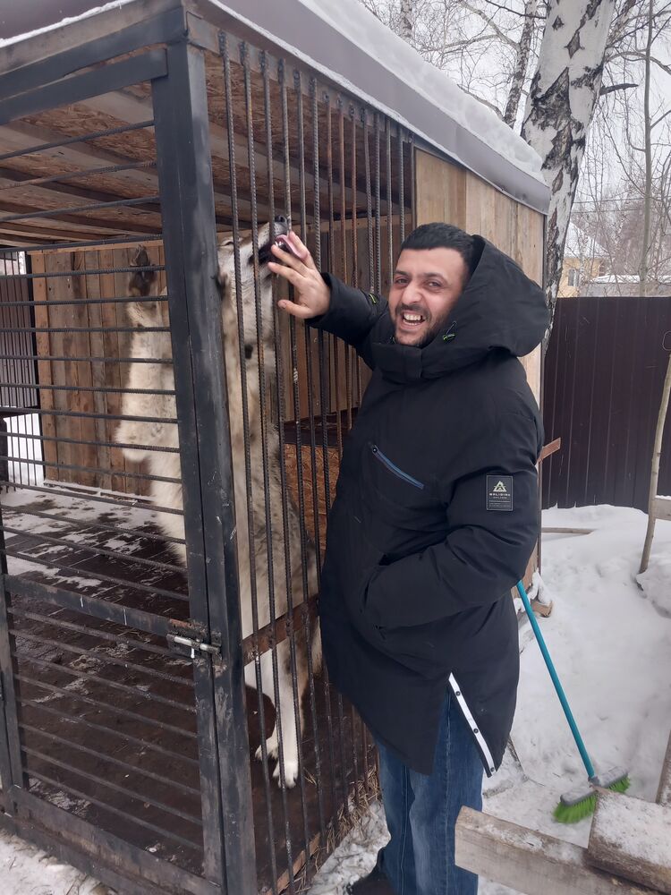 ���������� ����������, ���� ������� �����, 38 ���, ������������ ��� ������, ����� � ���������