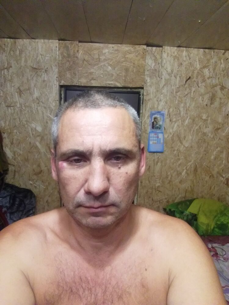  23844732  , 50 ,    