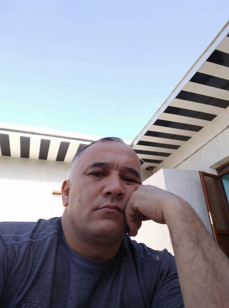  31046632  , 49 ,    