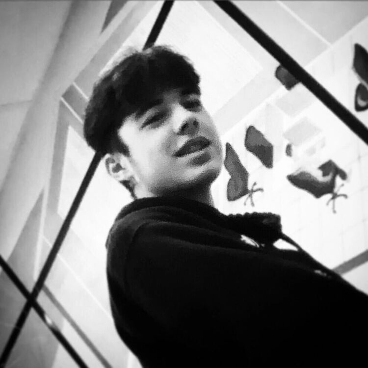 ���� 33574312 ����� ������, 22 ����, ���� ���������� � �����-����������