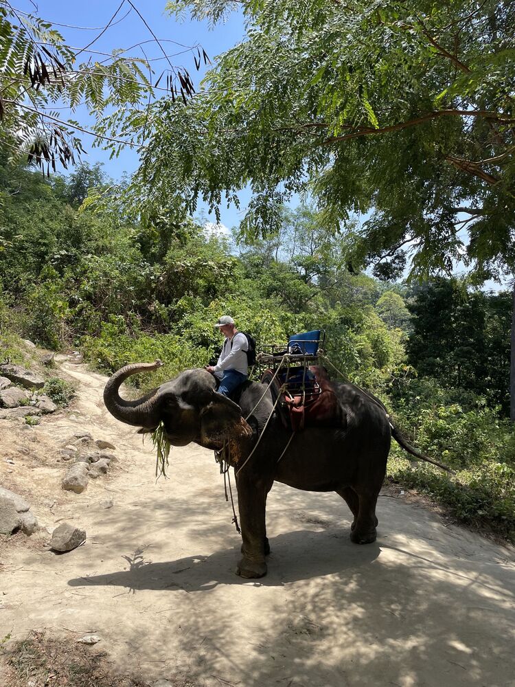 ���������� ������������, ���� ������� ����, 36 ���, ������������ ��� ����� � ���������, c�������� ���������, ���������