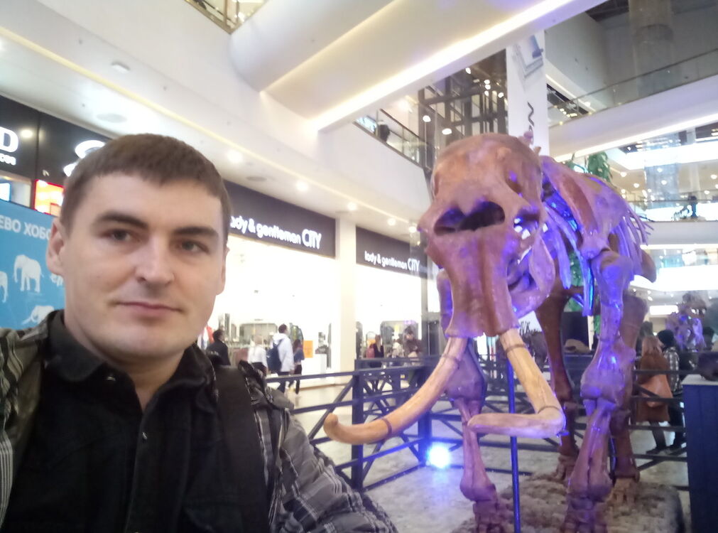  -,   , 41 ,   