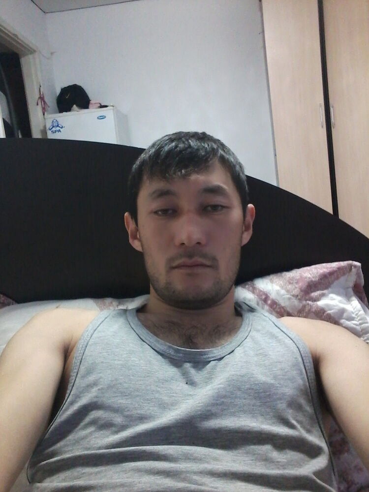  18466142  , 38 ,    
