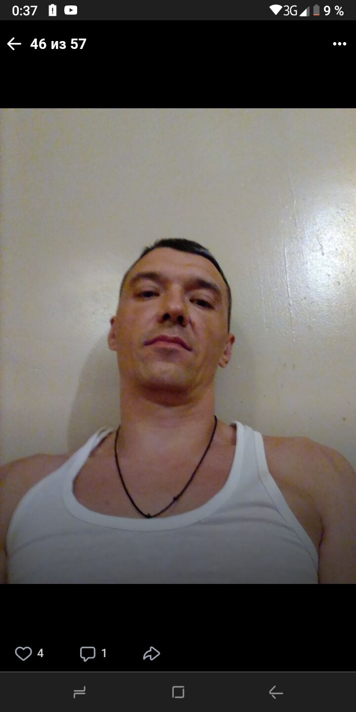  24941472  , 44 ,    