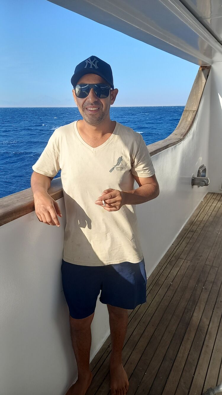  49664572  , 31 ,    Al Ghardaqah