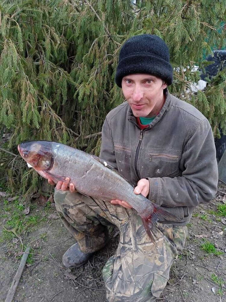 ���� 42893072 ������� ������, 35 ���, ���� ���������� � ����������